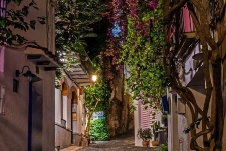 49da6ca8 ec75 4555 a055 3150e72184b4.png