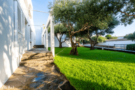 jardí olivera façana