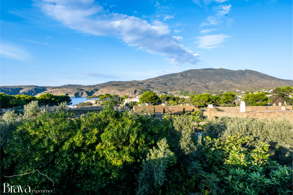 vistes cadaques
