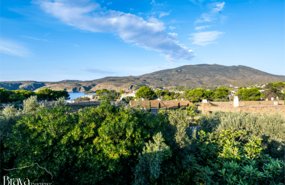vistes cadaques