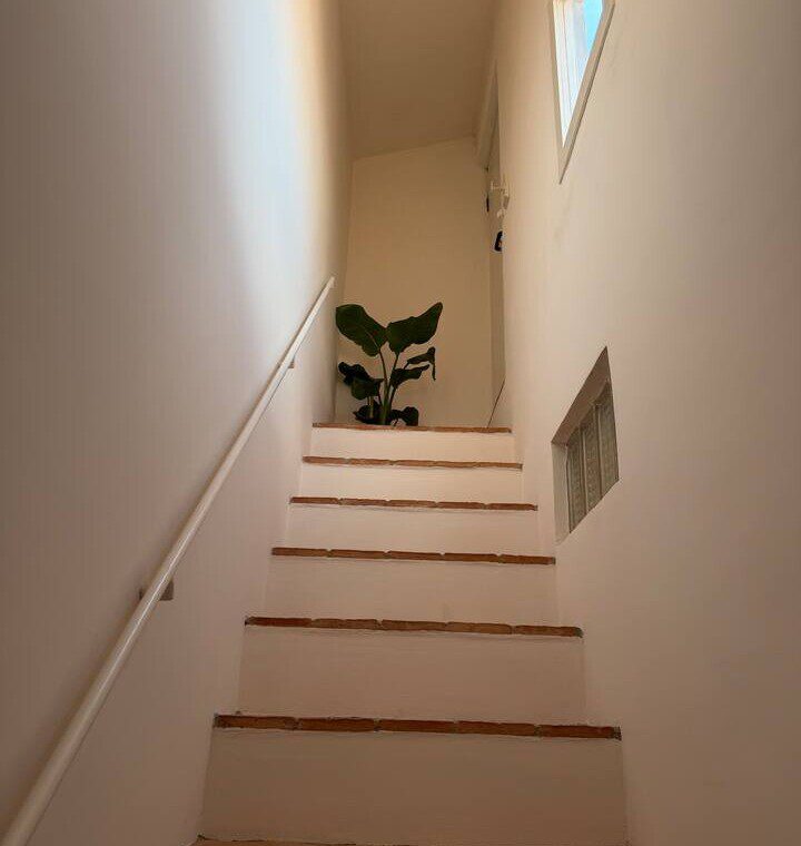 49hWSSHfmeAR586UUd9O7zrQbXHG8N71mgzfsflS.jpg